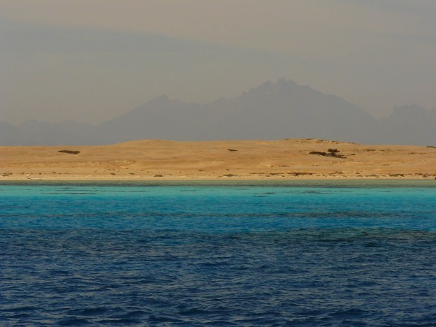 Blick auf eine Wüstenlandschaft mit sanften Hügeln im Hintergrund und türkisblauem Wasser im Vordergrund. Das Bild zeigt die Küste des Roten Meeres in Ägypten.